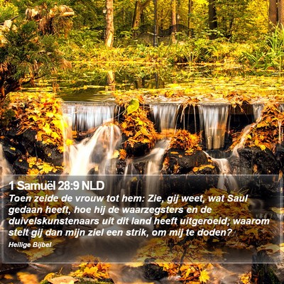 1 Samuël 28:9 NLD Bible Verse Image