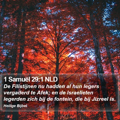 1 Samuël 29:1 NLD Bible Verse Image