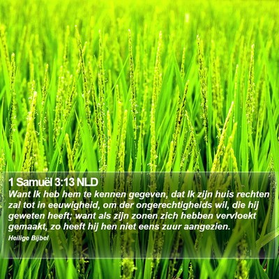 1 Samuël 3:13 NLD Bible Verse Image
