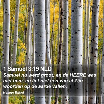 1 Samuël 3:19 NLD Bible Verse Image