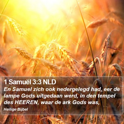 1 Samuël 3:3 NLD Bible Verse Image