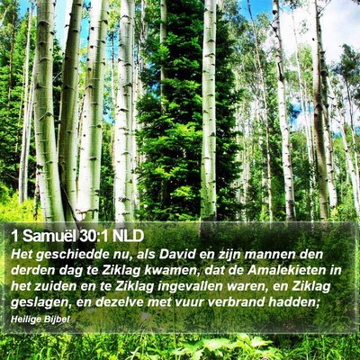 1 Samuël 30:1 NLD Bible Verse Image