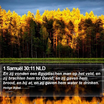1 Samuël 30:11 NLD Bible Verse Image