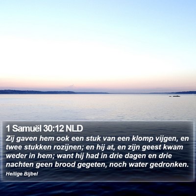 1 Samuël 30:12 NLD Bible Verse Image