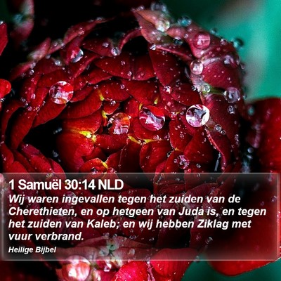 1 Samuël 30:14 NLD Bible Verse Image
