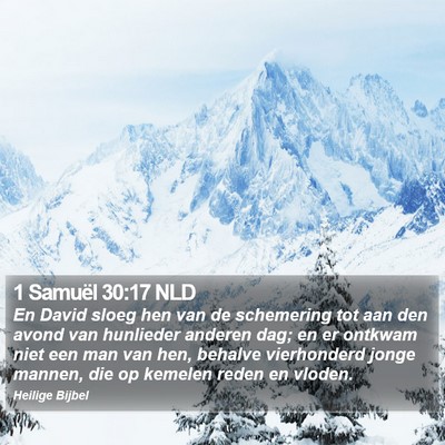 1 Samuël 30:17 NLD Bible Verse Image