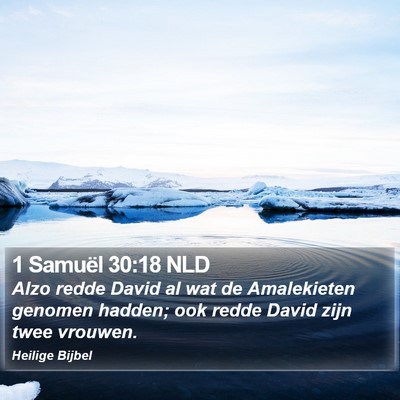 1 Samuël 30:18 NLD Bible Verse Image