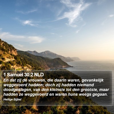 1 Samuël 30:2 NLD Bible Verse Image