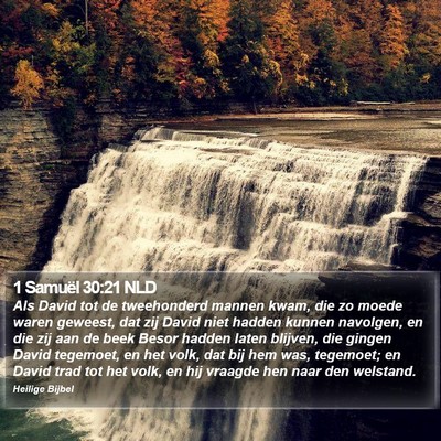 1 Samuël 30:21 NLD Bible Verse Image