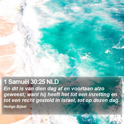1 Samuël 30:25 NLD Bible Verse Image