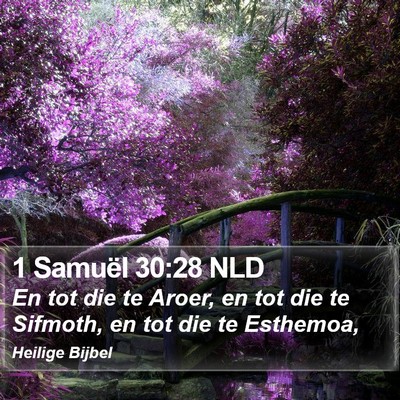 1 Samuël 30:28 NLD Bible Verse Image
