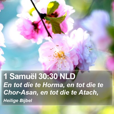 1 Samuël 30:30 NLD Bible Verse Image