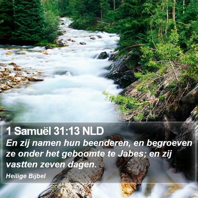 1 Samuël 31:13 NLD Bible Verse Image