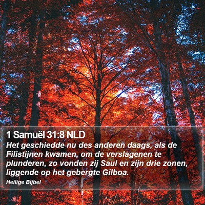 1 Samuël 31:8 NLD Bible Verse Image