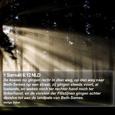 1 Samuël 6:12 NLD Bible Verse Image