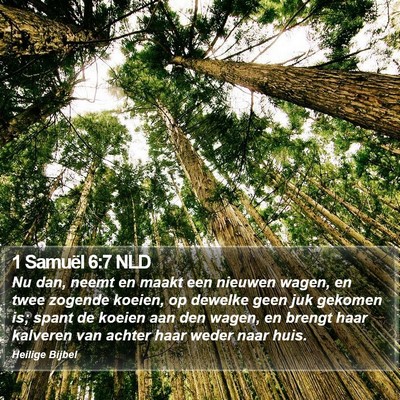 1 Samuël 6:7 NLD Bible Verse Image