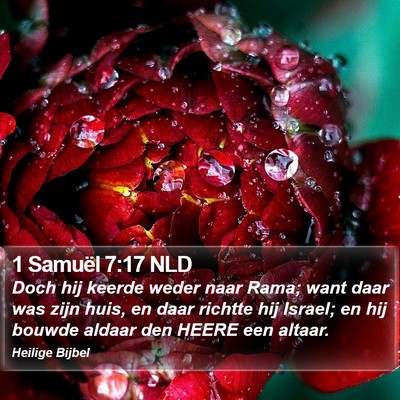 1 Samuël 7:17 NLD Bible Verse Image