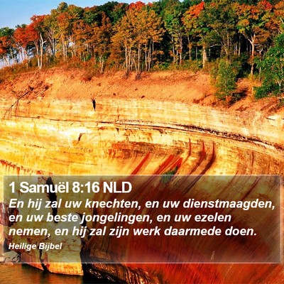 1 Samuël 8:16 NLD Bible Verse Image