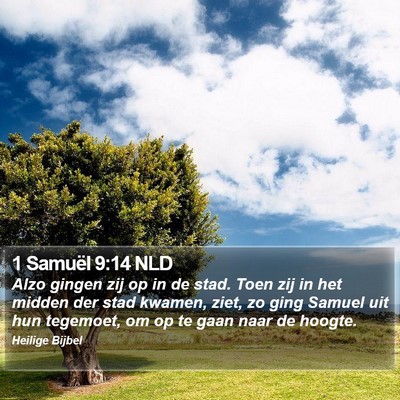 1 Samuël 9:14 NLD Bible Verse Image