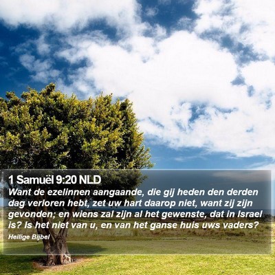 1 Samuël 9:20 NLD Bible Verse Image
