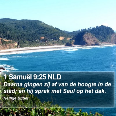 1 Samuël 9:25 NLD Bible Verse Image