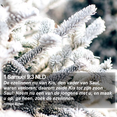 1 Samuël 9:3 NLD Bible Verse Image