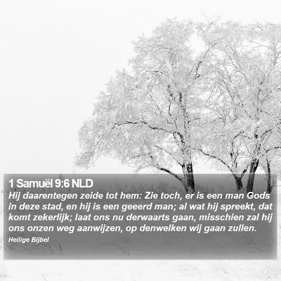 1 Samuël 9:6 NLD Bible Verse Image