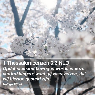 1 Thessalonicenzen 3:3 NLD Bible Verse Image