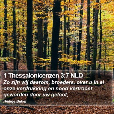 1 Thessalonicenzen 3:7 NLD Bible Verse Image