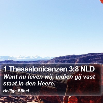 1 Thessalonicenzen 3:8 NLD Bible Verse Image