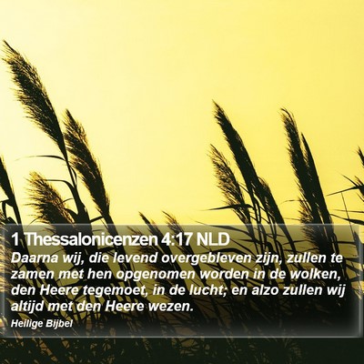 1 Thessalonicenzen 4:17 NLD Bible Verse Image