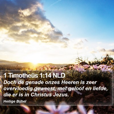 1 Timotheüs 1:14 NLD Bible Verse Image