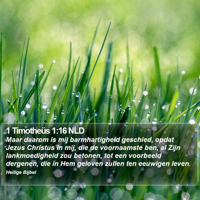 1 Timotheüs 1:16 NLD Bible Verse Image