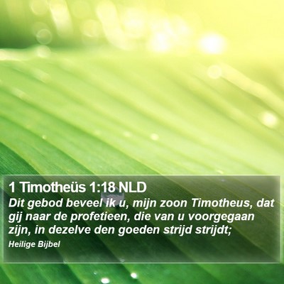 1 Timotheüs 1:18 NLD Bible Verse Image