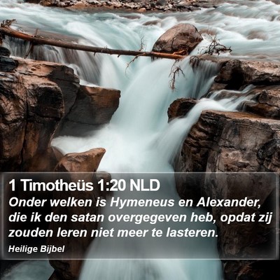 1 Timotheüs 1:20 NLD Bible Verse Image