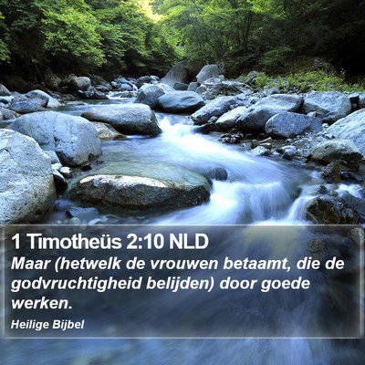 1 Timotheüs 2:10 NLD Bible Verse Image