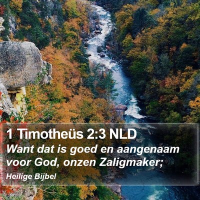 1 Timotheüs 2:3 NLD Bible Verse Image
