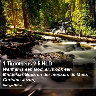 1 Timotheüs 2:5 NLD Bible Verse Image
