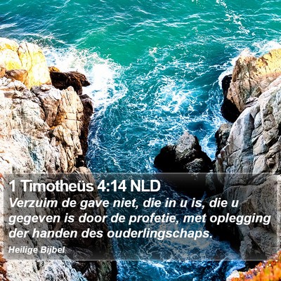 1 Timotheüs 4:14 NLD Bible Verse Image