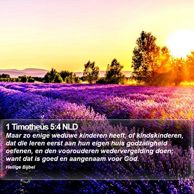 1 Timotheüs 5:4 NLD Bible Verse Image