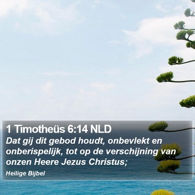 1 Timotheüs 6:14 NLD Bible Verse Image