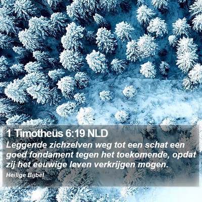 1 Timotheüs 6:19 NLD Bible Verse Image