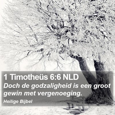 1 Timotheüs 6:6 NLD Bible Verse Image