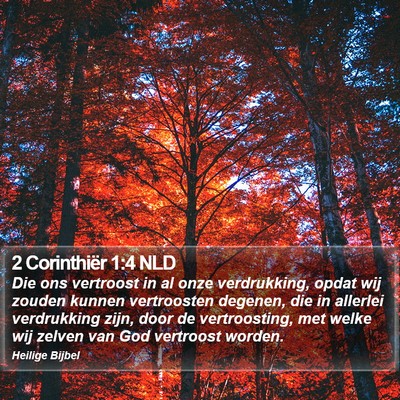 2 Corinthiër 1:4 NLD Bible Verse Image