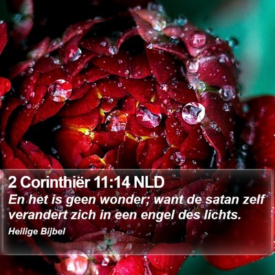 2 Corinthiër 11:14 NLD Bible Verse Image