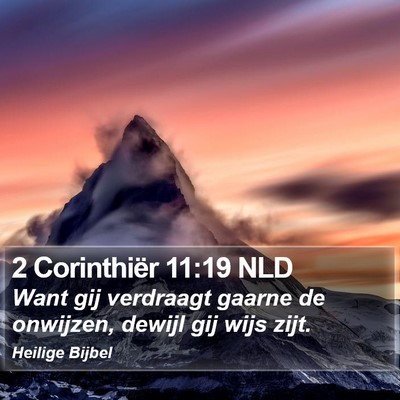 2 Corinthiër 11:19 NLD Bible Verse Image