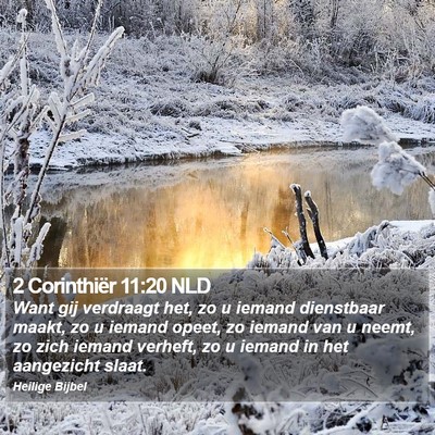 2 Corinthiër 11:20 NLD Bible Verse Image
