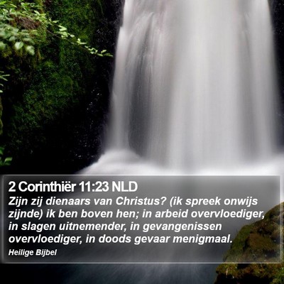 2 Corinthiër 11:23 NLD Bible Verse Image