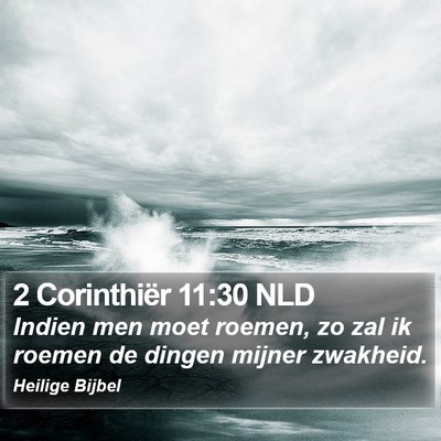 2 Corinthiër 11:30 NLD Bible Verse Image
