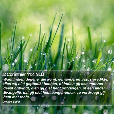 2 Corinthiër 11:4 NLD Bible Verse Image